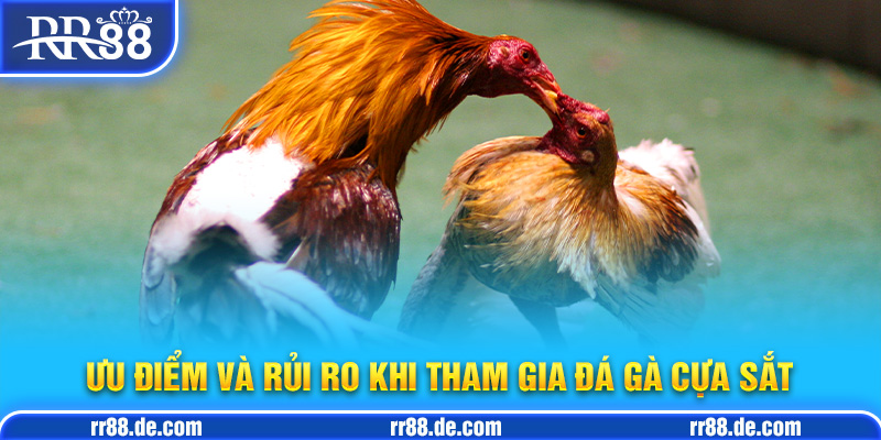 Ưu Điểm và Rủi Ro Khi Tham Gia Đá Gà Cựa Sắt