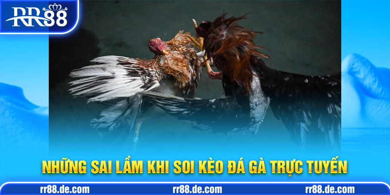 Những Sai Lầm Khi Soi Kèo Đá Gà Trực Tuyến