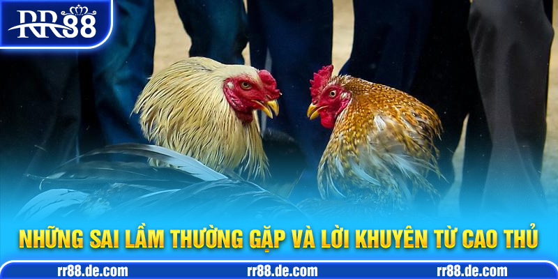 Những Sai Lầm Thường Gặp và Lời Khuyên Từ Cao Thủ