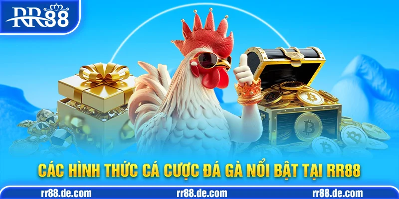 Các Hình Thức Cá Cược Đá gà Nổi Bật Tại RR88