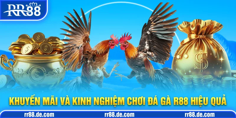 Khuyến Mãi và Kinh Nghiệm Chơi Đá Gà R88 Hiệu Quả